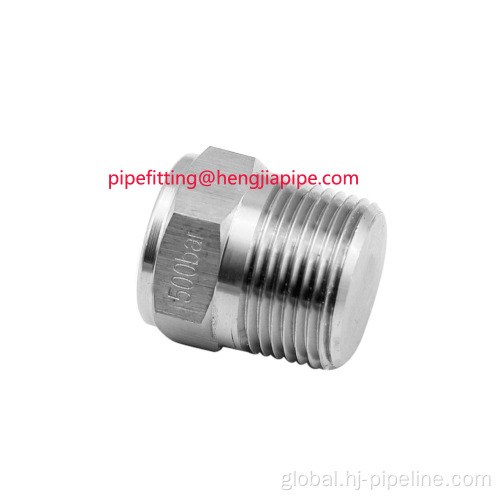 Carbon Steel Plug Forged Carbon Steel Plug Supplier